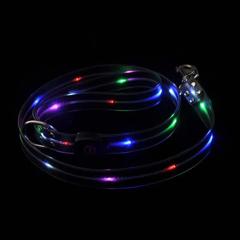 Bright orange luminous PVC dog lead and adjustable collar set shown coiled, 120cm long.