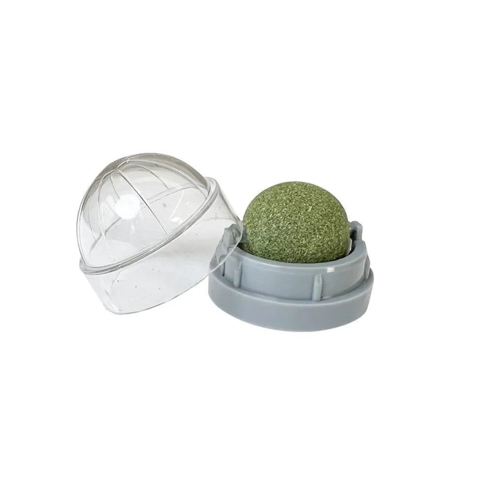 Plastic catnip ball toy with textured teeth cleaning surface in various colours