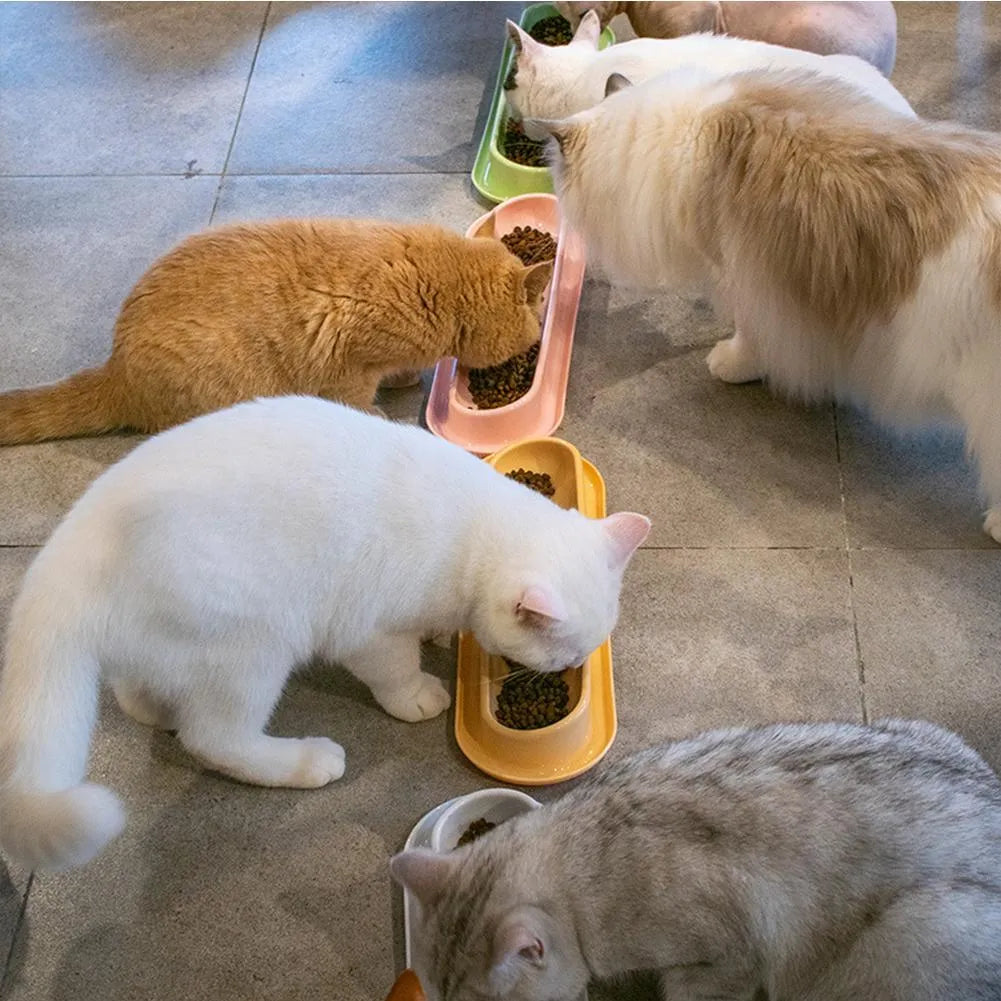 Green leakproof pet bowl set with non-slip rubber base for cats and dogs