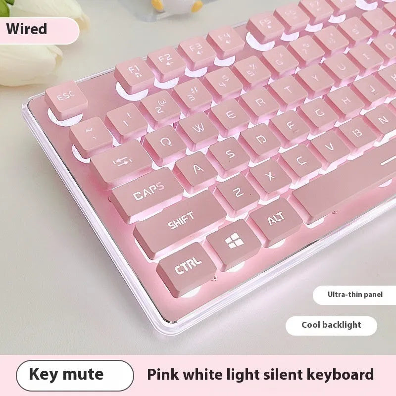 Mute mechanical keyboard with LED lighting and matching wired mouse in silver white blue colour combination