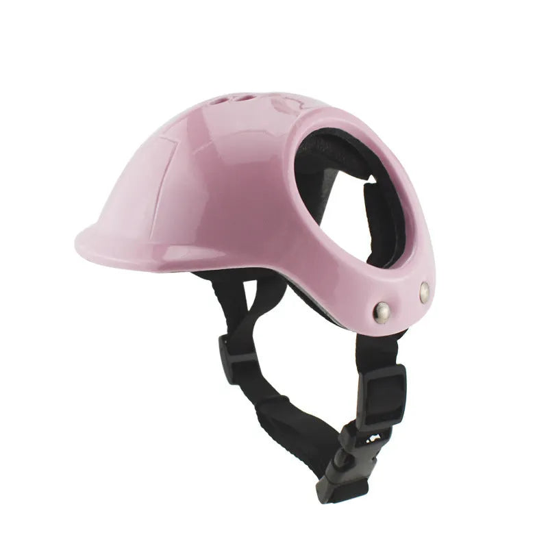 Plastic bicycle safety helmet for small to medium sized dogs in black colour