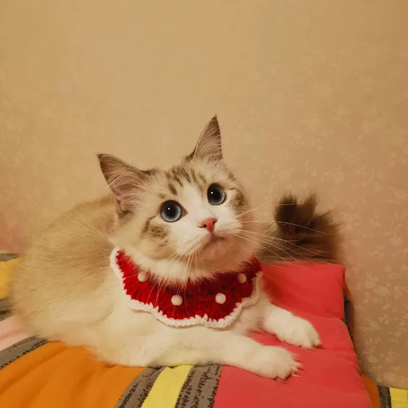 Knitted milk cotton decorative pet collar with cartoon pattern for cats, dogs, and rabbits