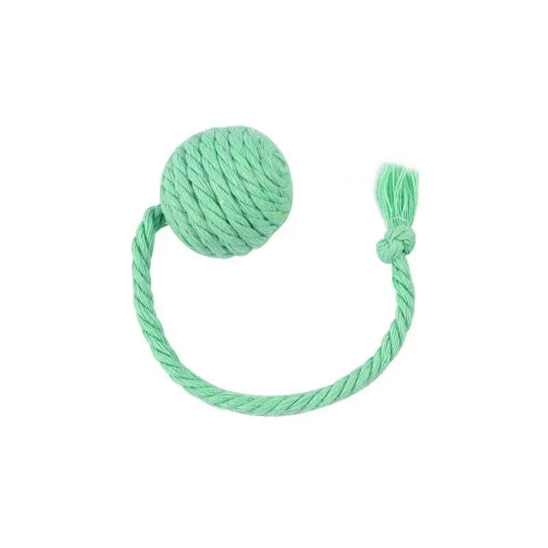 Interactive cat toy ball with rope and internal bell in green, pink, purple and yellow colours