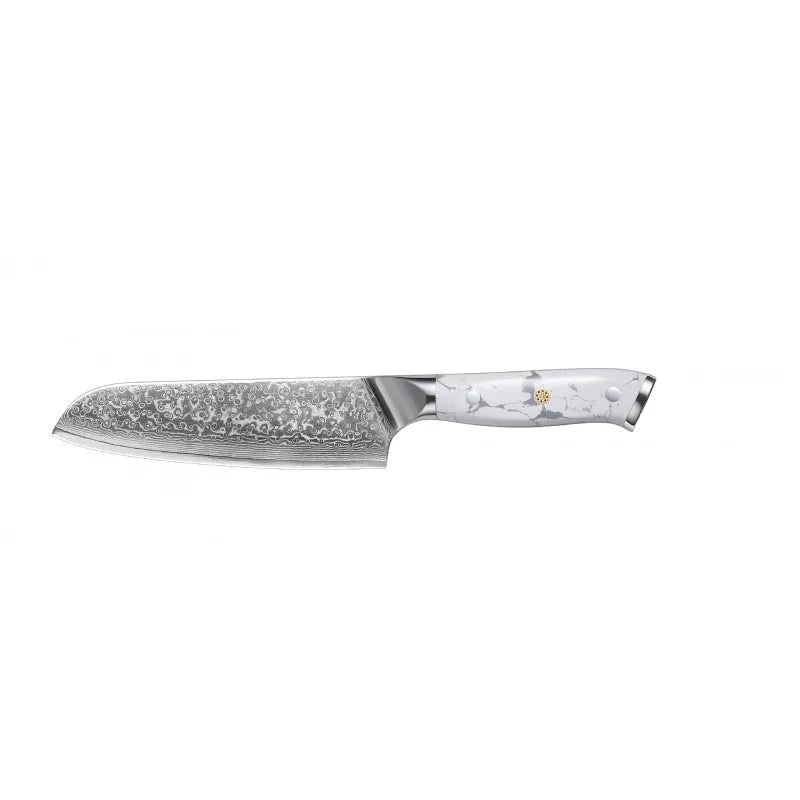 Damascus pattern chef's knife with VG10 steel blade and modern handle for kitchen use