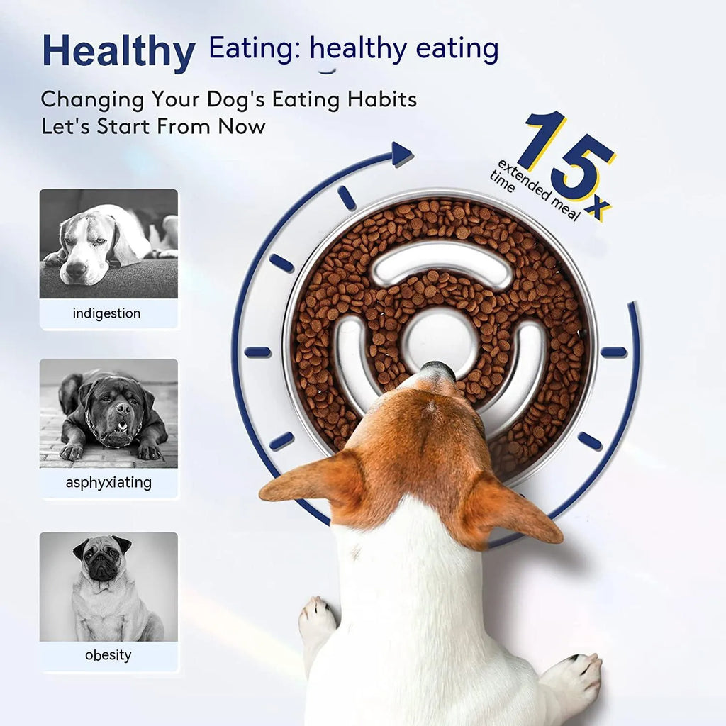 Stainless steel slow feeding bowl with neck protector for dogs and cats in cowhide box