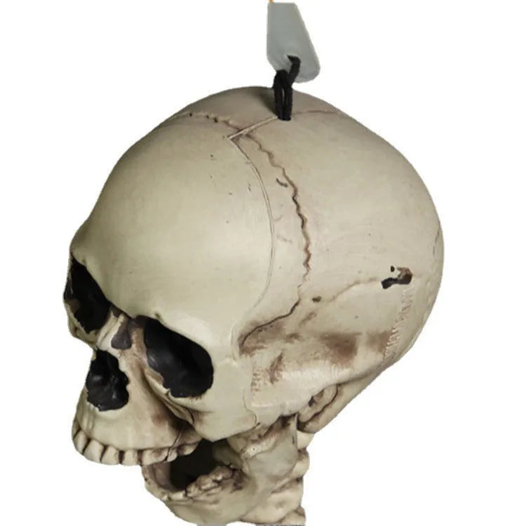 170cm tall plastic skeleton prop with detailed human skull and anatomical bone structure