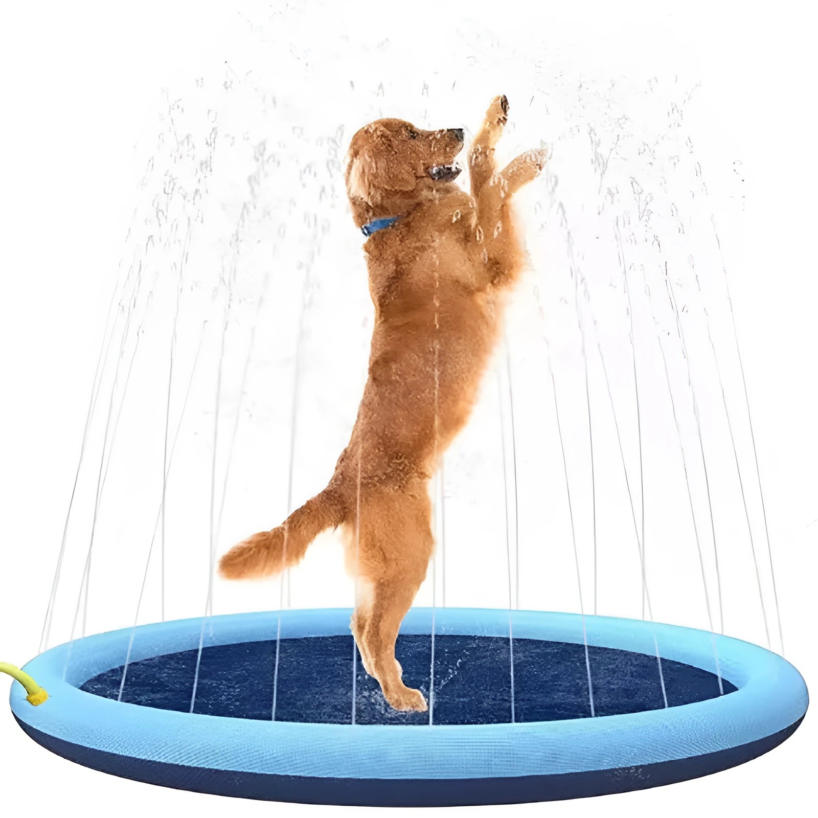 Large inflatable PVC dog pool splash pad with anti-slip base in a garden.