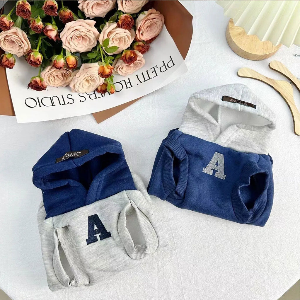 Blue and white colour-block pet hoodie with reflective letters on a dog