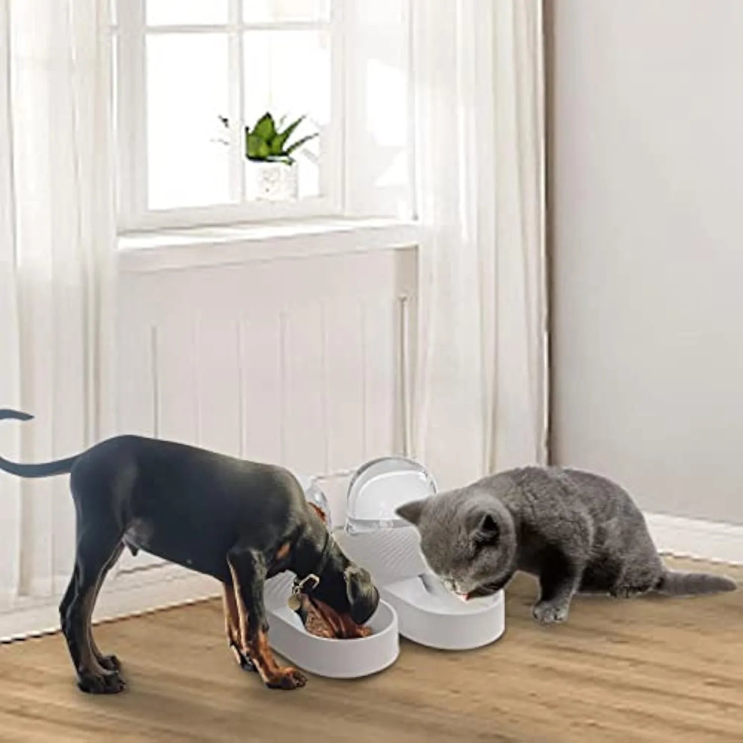White cat feeder and water dispenser set with wave-pattern design and 2L capacity bowls