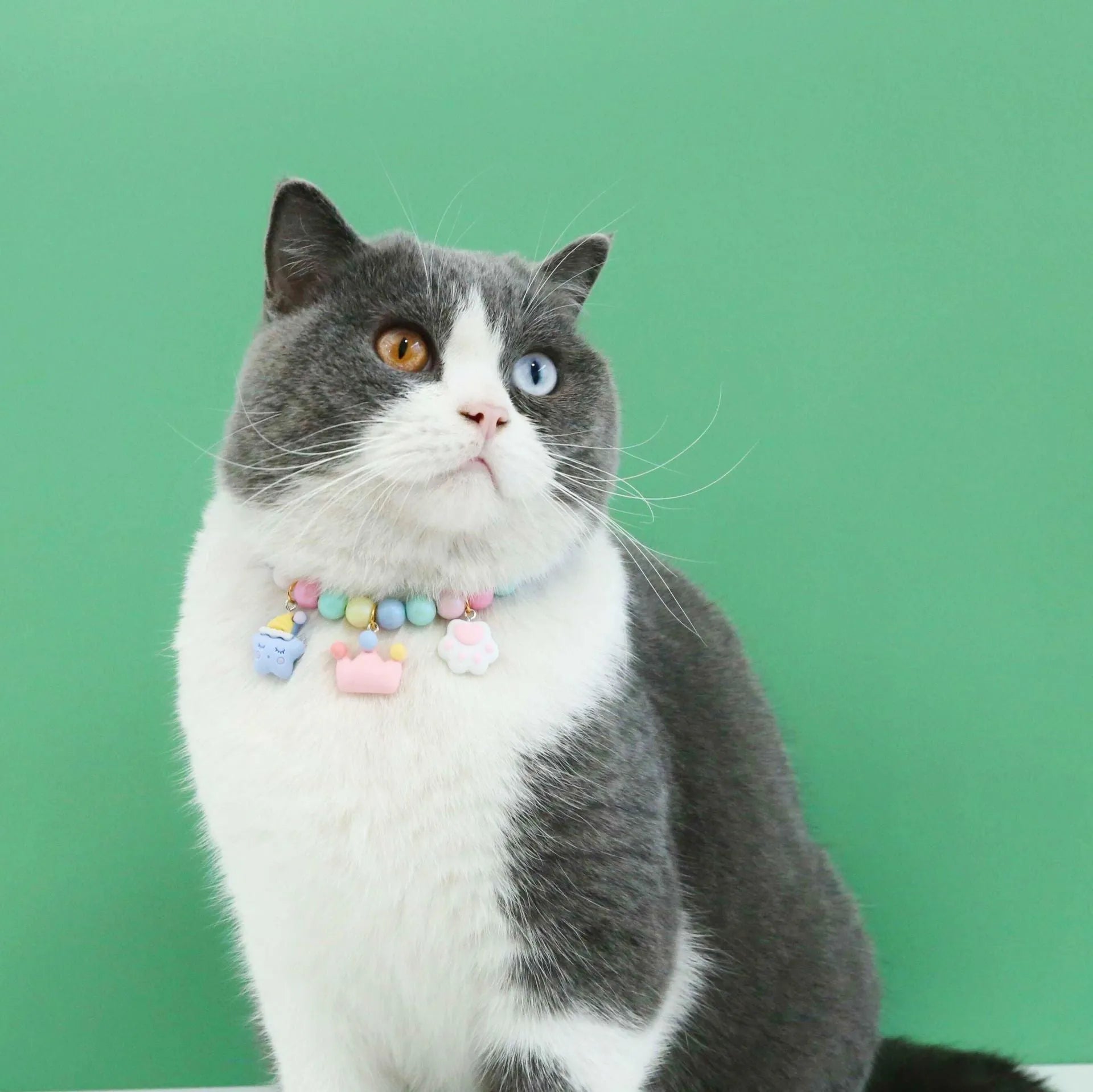 Resin rabbit headdress pet collar with matching bracelet in macaron colours