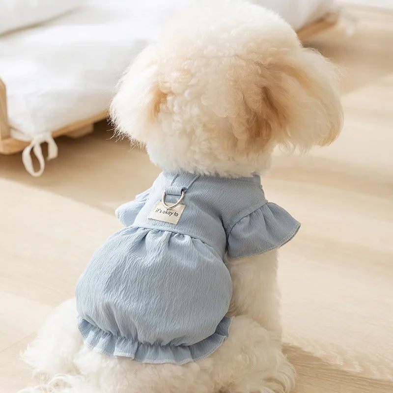Solid colour polyester flying sleeve dress for small dog in Bondi Blue with cloth label