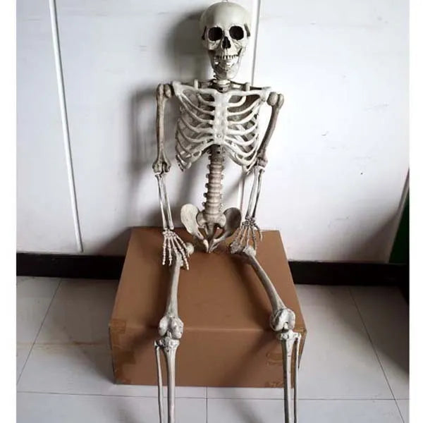 170cm tall plastic skeleton prop with detailed human skull and anatomical bone structure