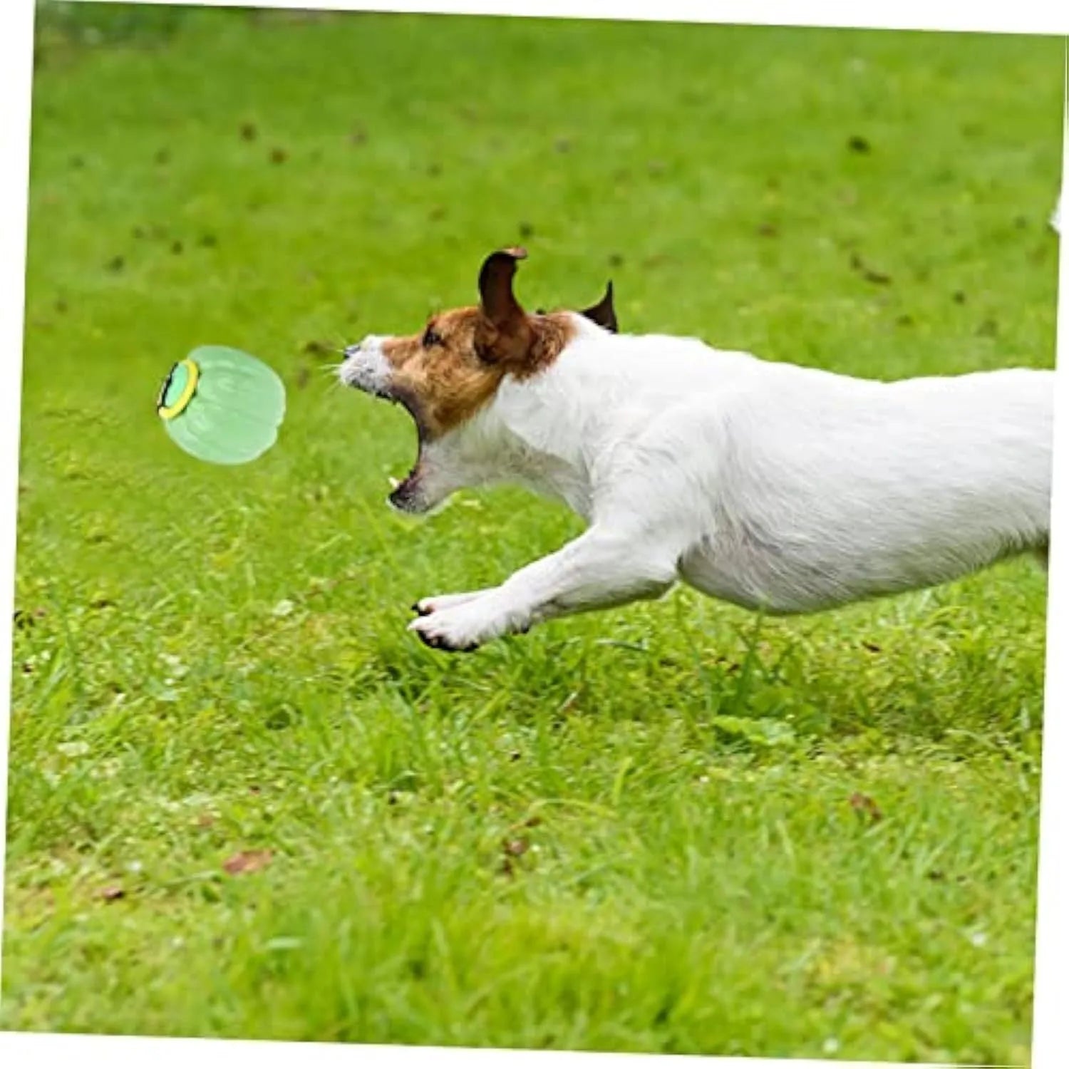 Halloween pumpkin design squeaker dog chew ball toy for puppies