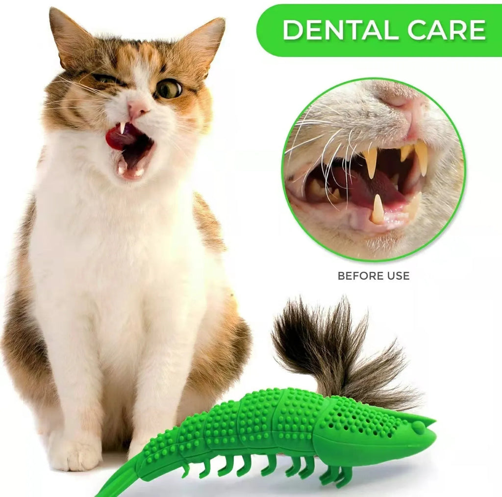 Blue hard rubber catnip toy for dental cleaning and interactive play