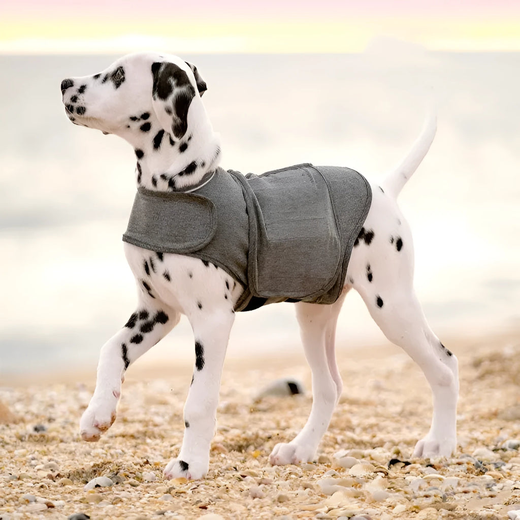 Heather grey dog anxiety vest or warm jacket on a size chart showing weights from under 4kg to over 50kg.