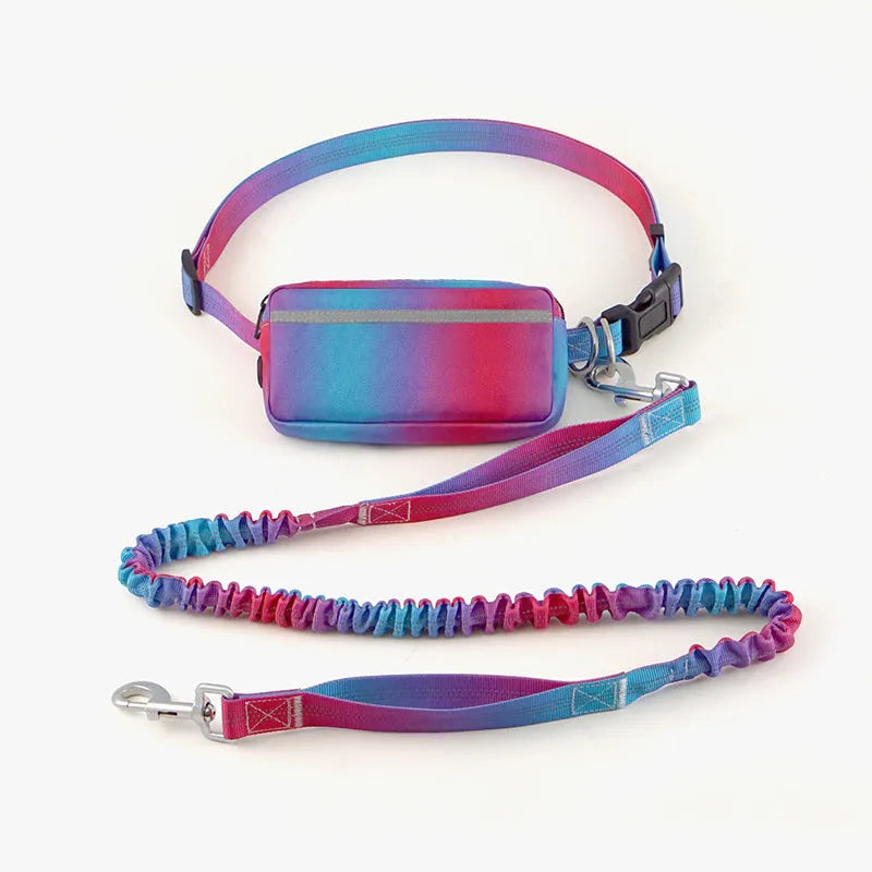 Hands-free adjustable dog leash with reflective traction rope and waist belt in blue