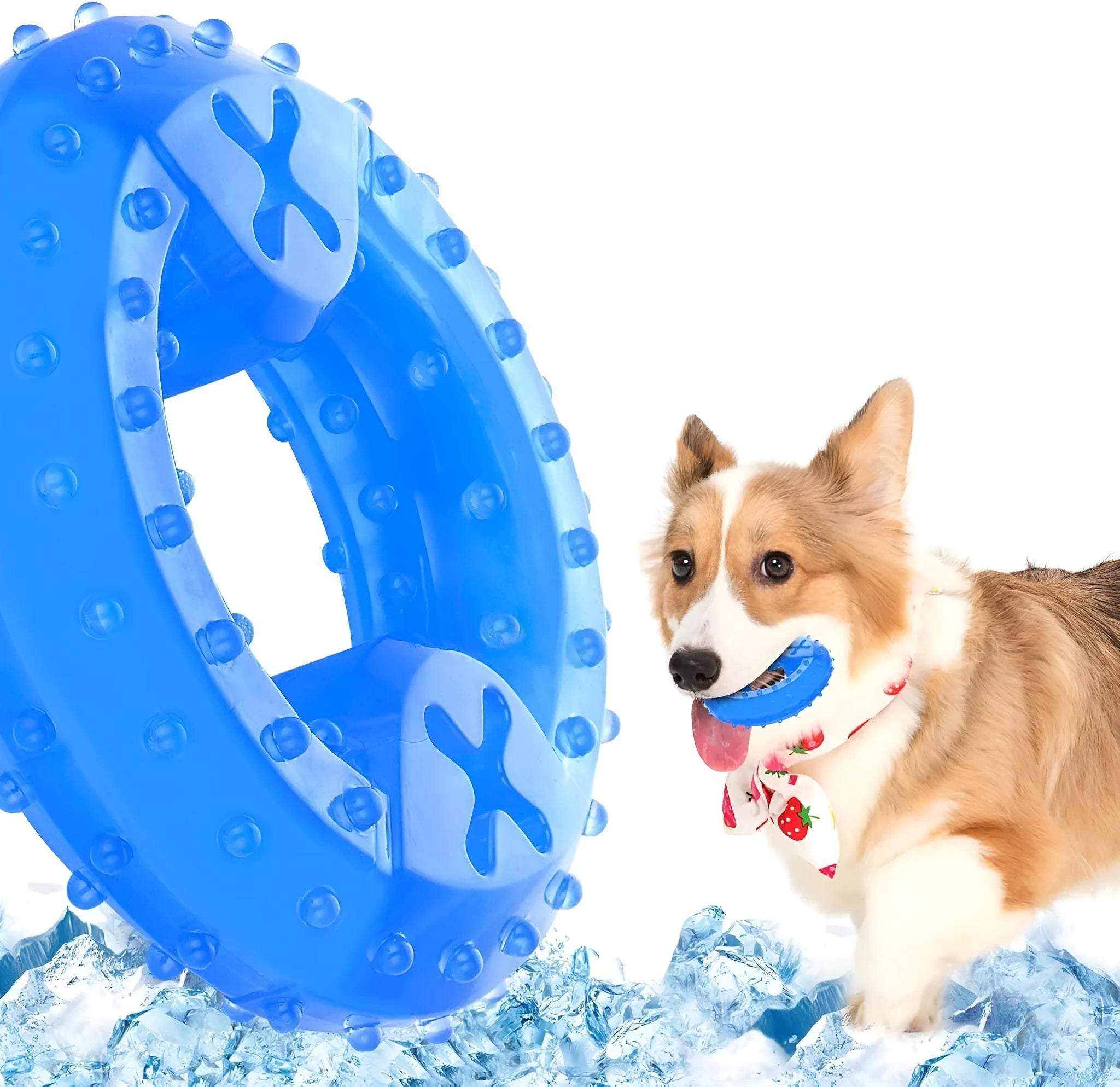 Freezable bone-shaped and circle-shaped dog cooling chew toys with treat pockets.