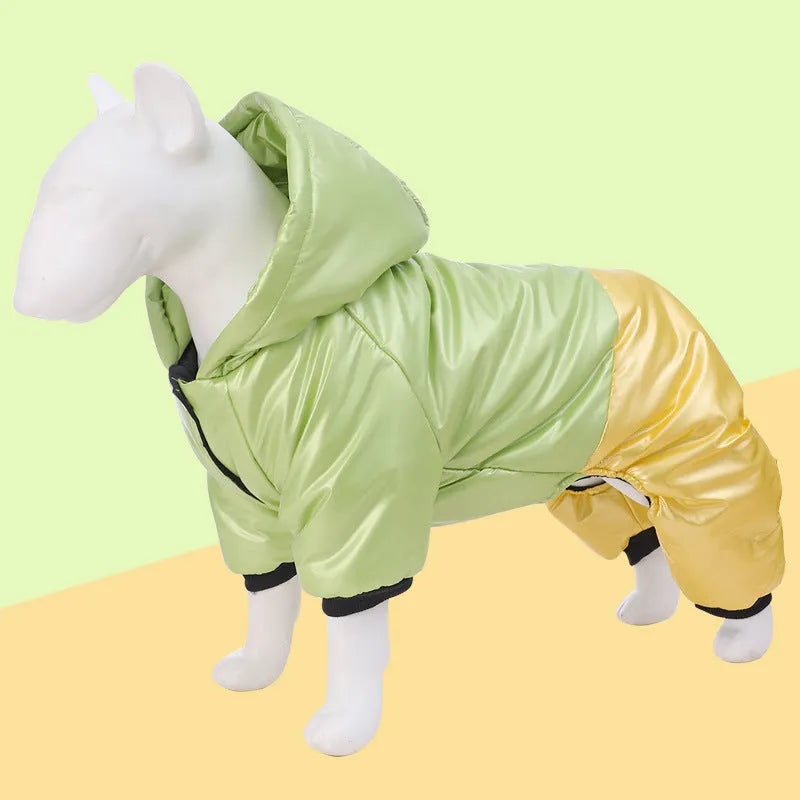 Green waterproof dog winter coat with four-leg design on medium-sized dog