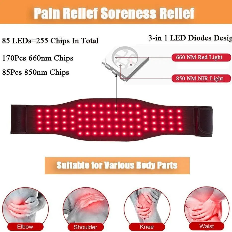 Black red light infrared physical therapy belt for waist pain relief with 12V operation