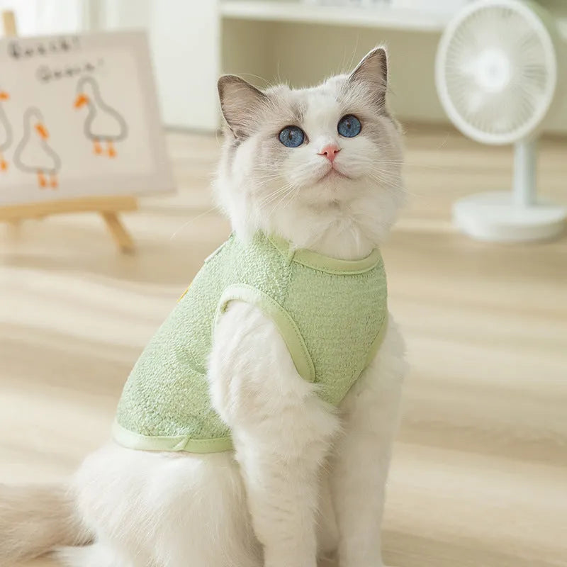 Hollowed-out cat clothes with bear patch in blue, green, yellow colours showing knitted fabric texture