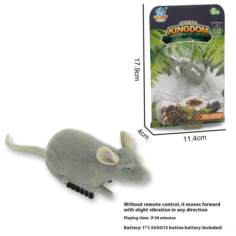 Automatic vibration pet toy in cockroach, dragonfly, tarantula or mouse design measuring 11x5 cm