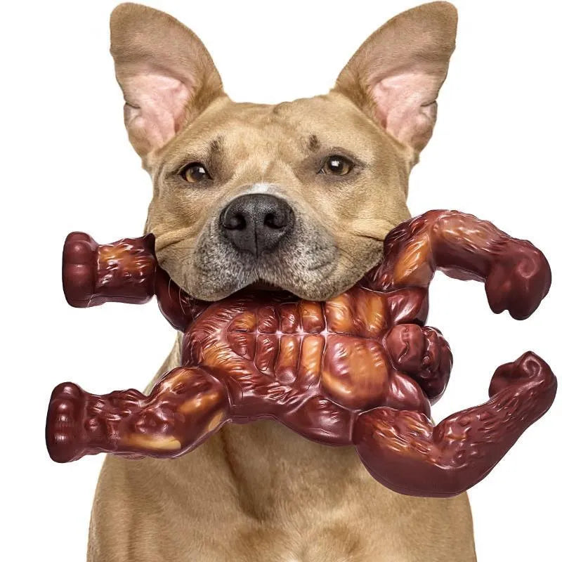 Scarlet nylon dog chew toy with beef flavour measuring 10.7cm by 17.2cm by 5cm