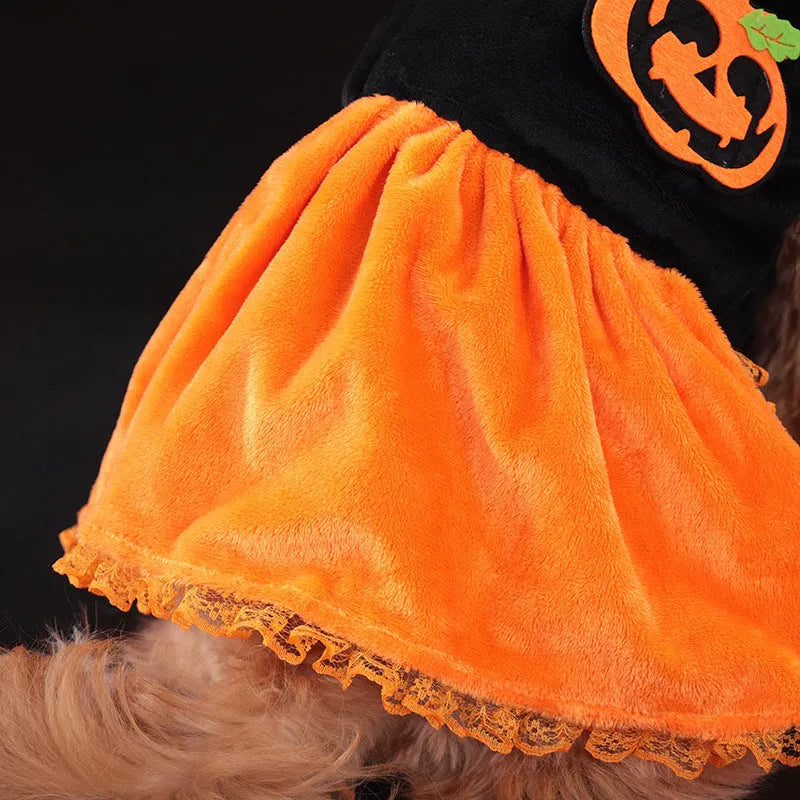 Halloween pumpkin skirt costume on a small dog made from crystal velvet fabric