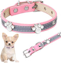 Reflective adjustable PU leather dog collar with metal paw rivet, shown on a size chart for S, M, L, XL, XXL.