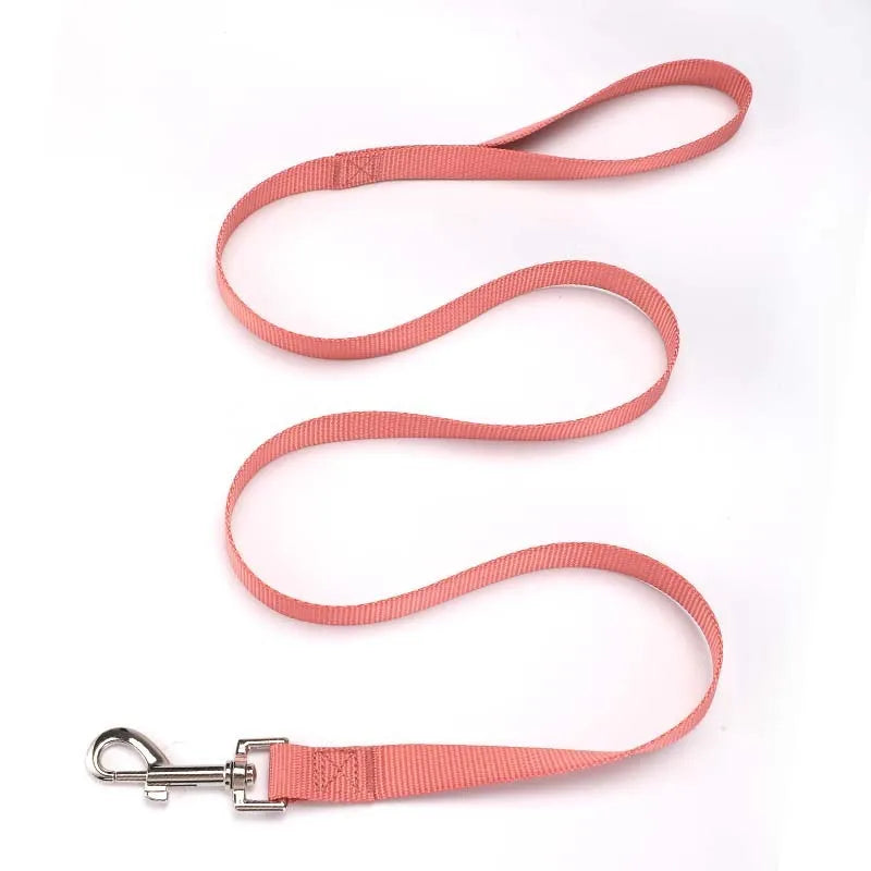 Solid colour polyester dog lead with hand-holding rope design shown in blue colour option