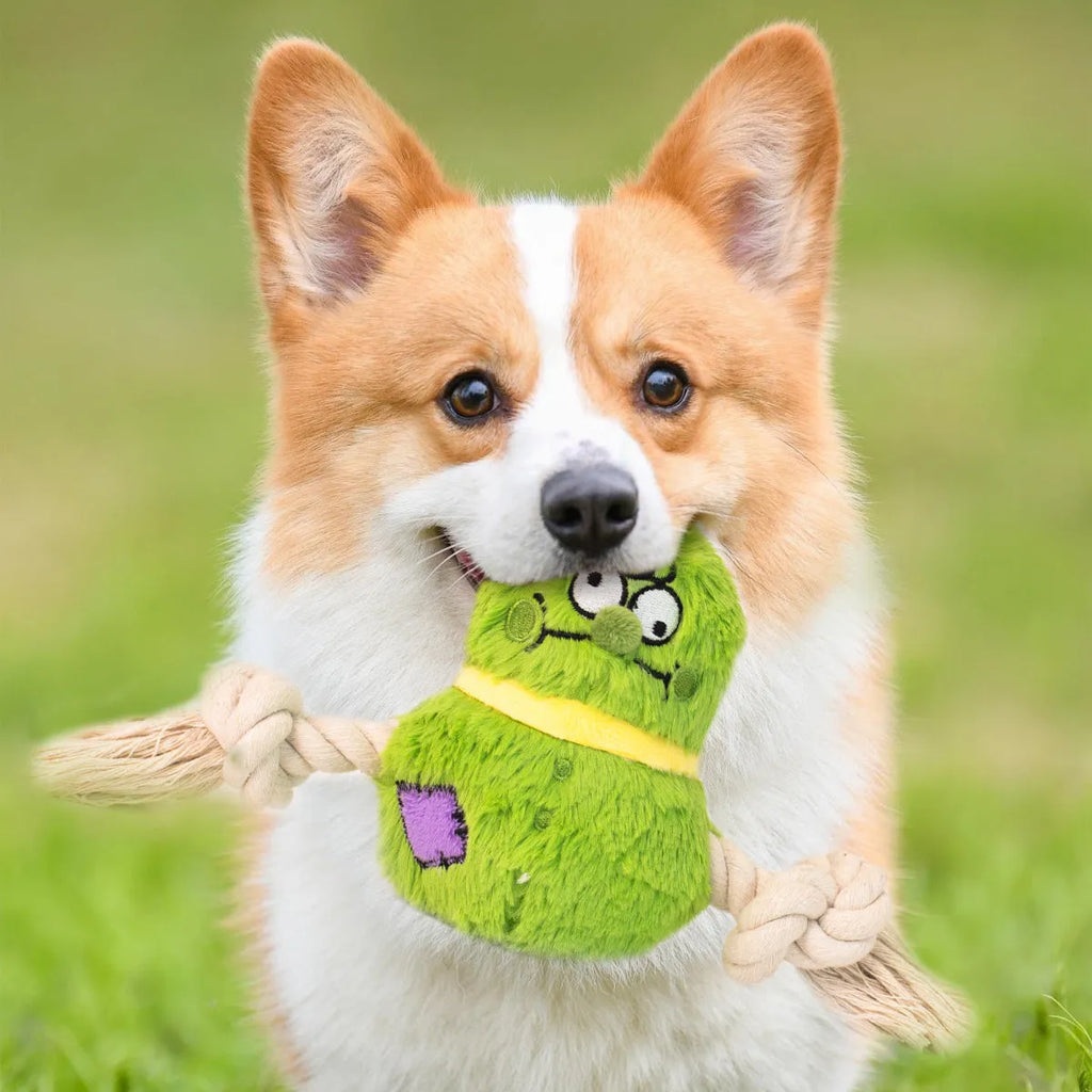 Green and purple interactive dog toy with plush rope knot design for tug of war games