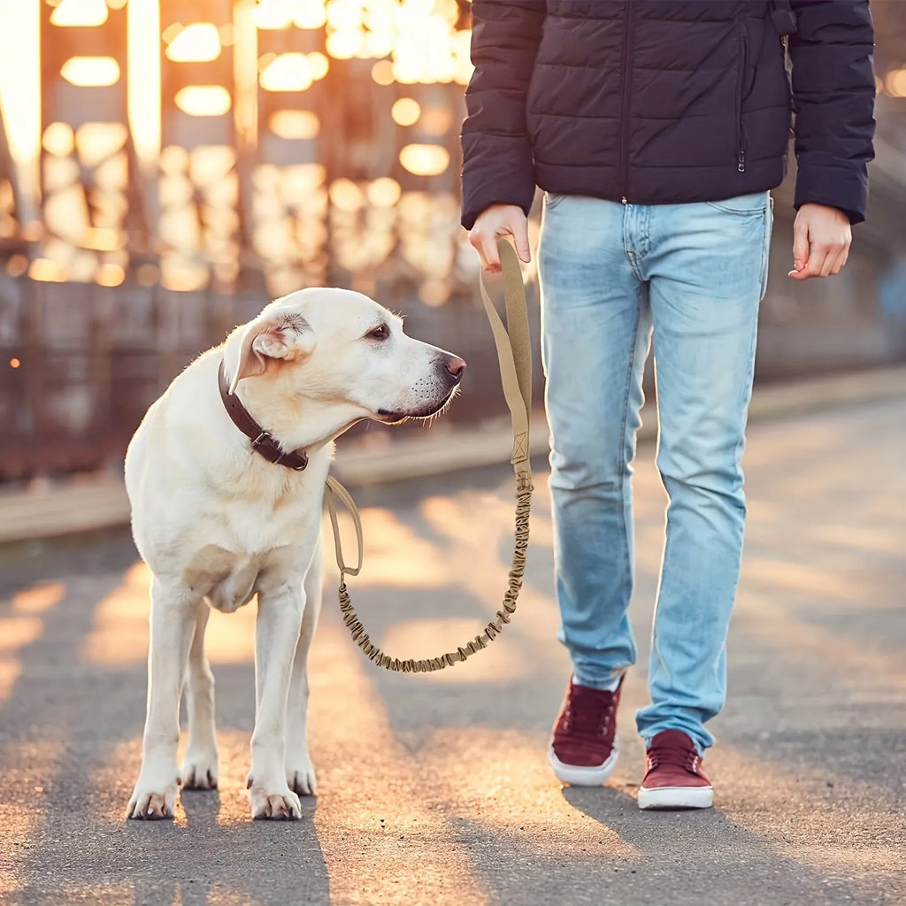 A black retractable dog leash for large breeds, extended to show its length, with a comfortable handle and reflective stitching.