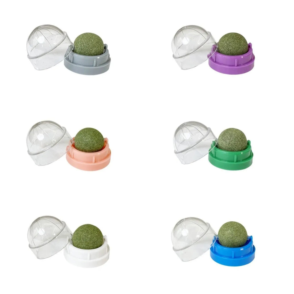 Plastic catnip ball toy with textured teeth cleaning surface in various colours