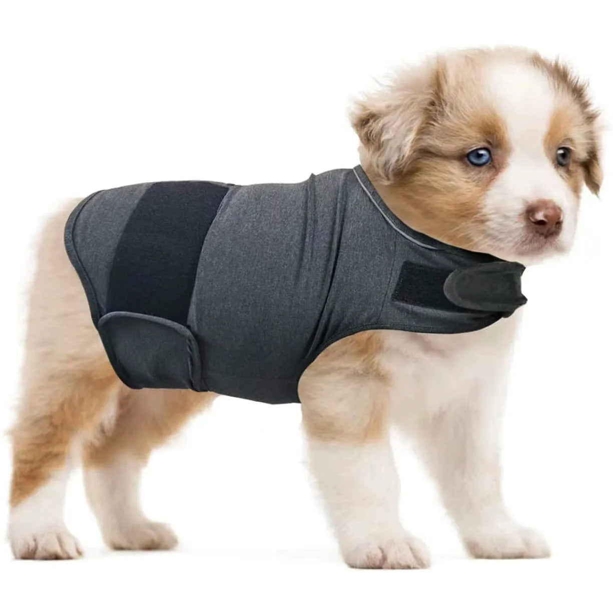 Brown dog anxiety tank top made from Ponte-de-Roma fabric for separation anxiety relief