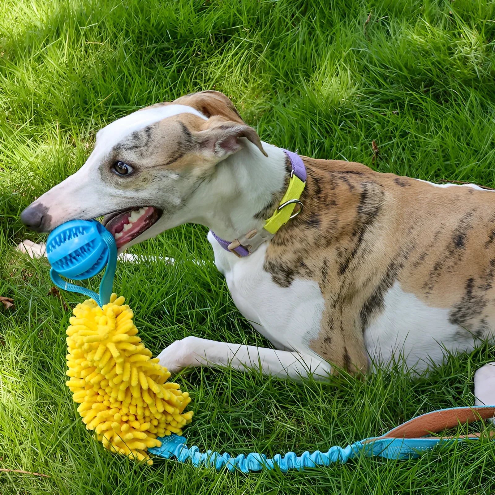 Green woven polyester cord teether pet toy for dogs with bends and hitches, size 24x12x8cm
