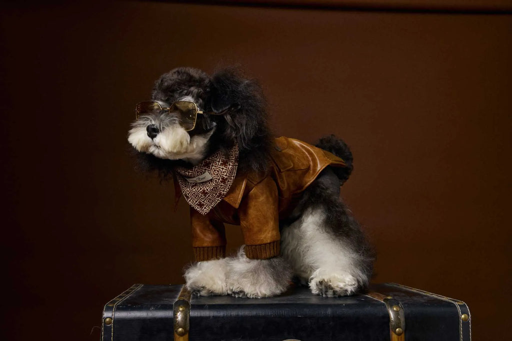 Brown retro long sleeve PU leather dog coat on Schnauzer or Bichon breed