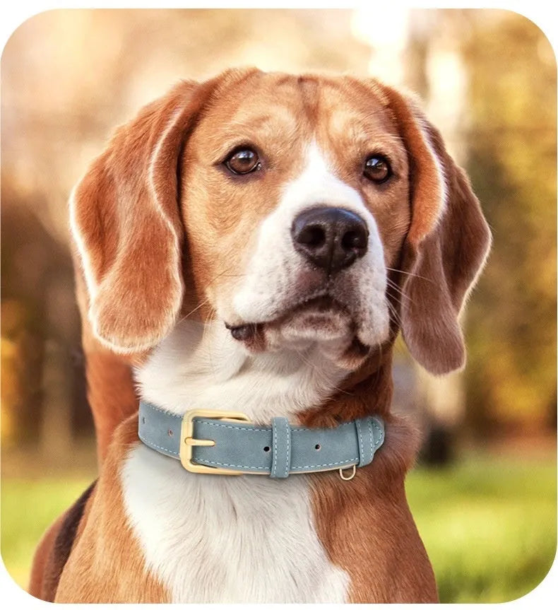 Rose red double-layer leather dog collar with mohair lining and matching leash laid flat.