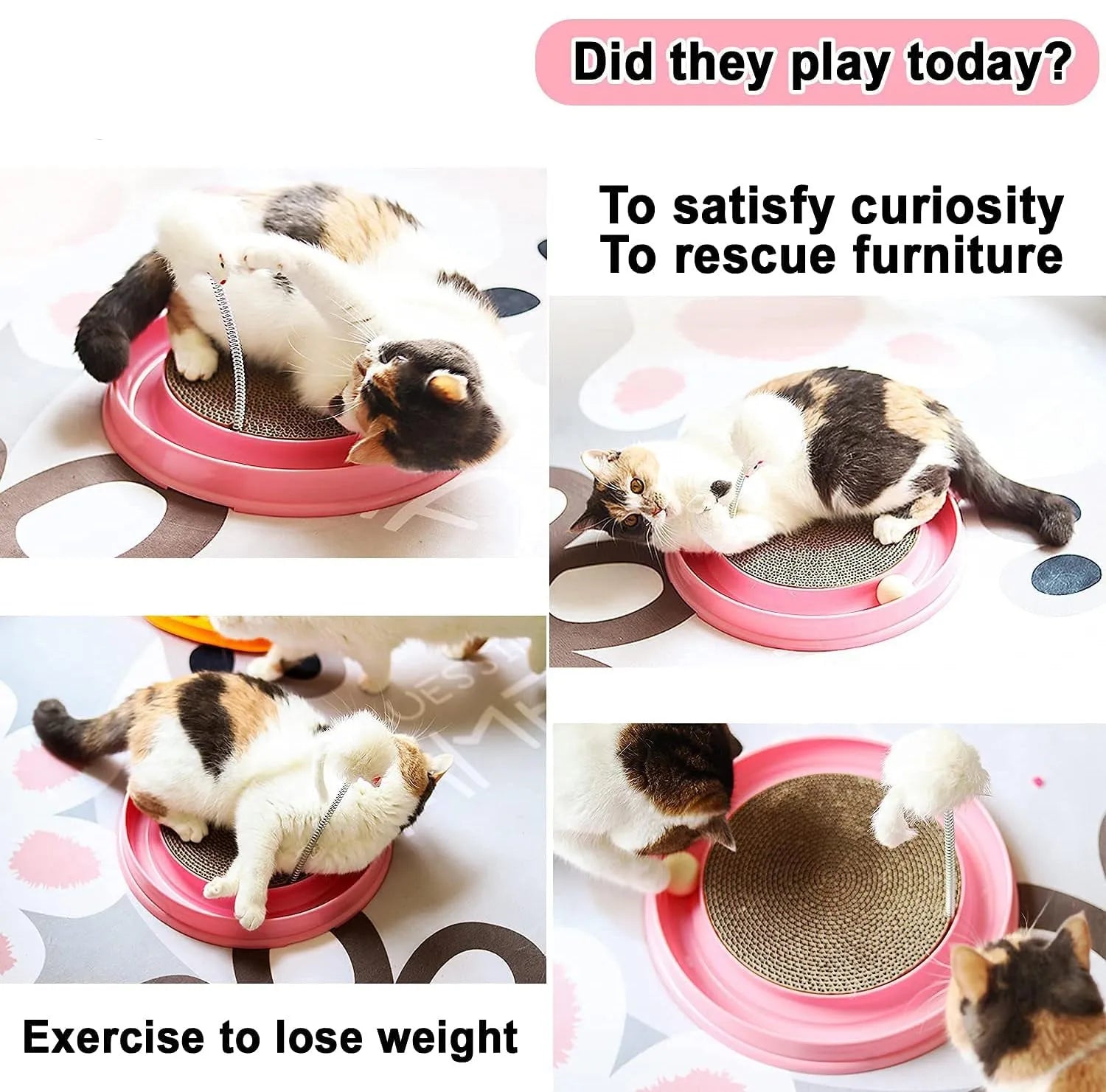 Blue interactive cat scratcher with ball track and replaceable scratching pad on 40cm diameter base