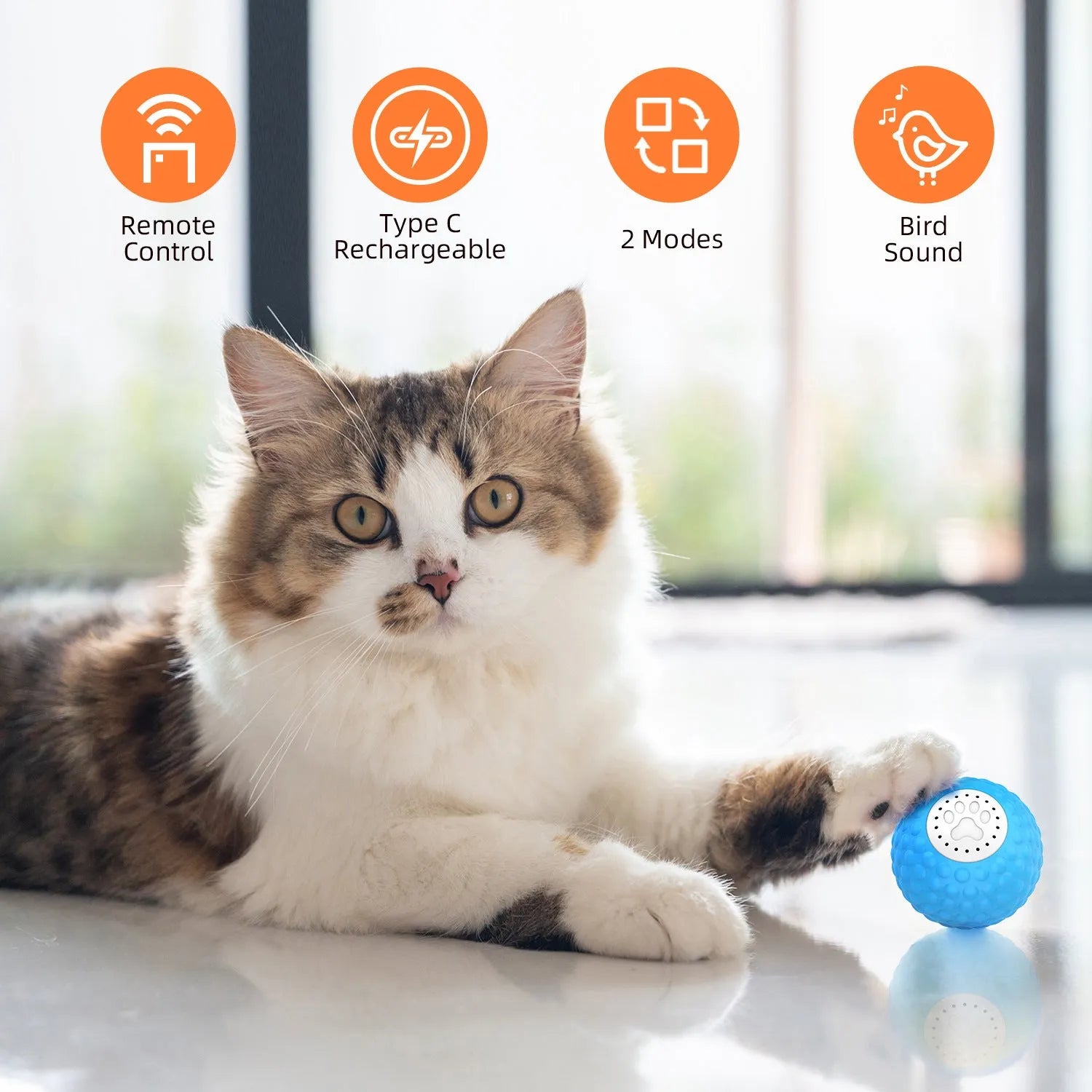 Remote control cat ball toy with flashing lights in blue, green and yellow colour options