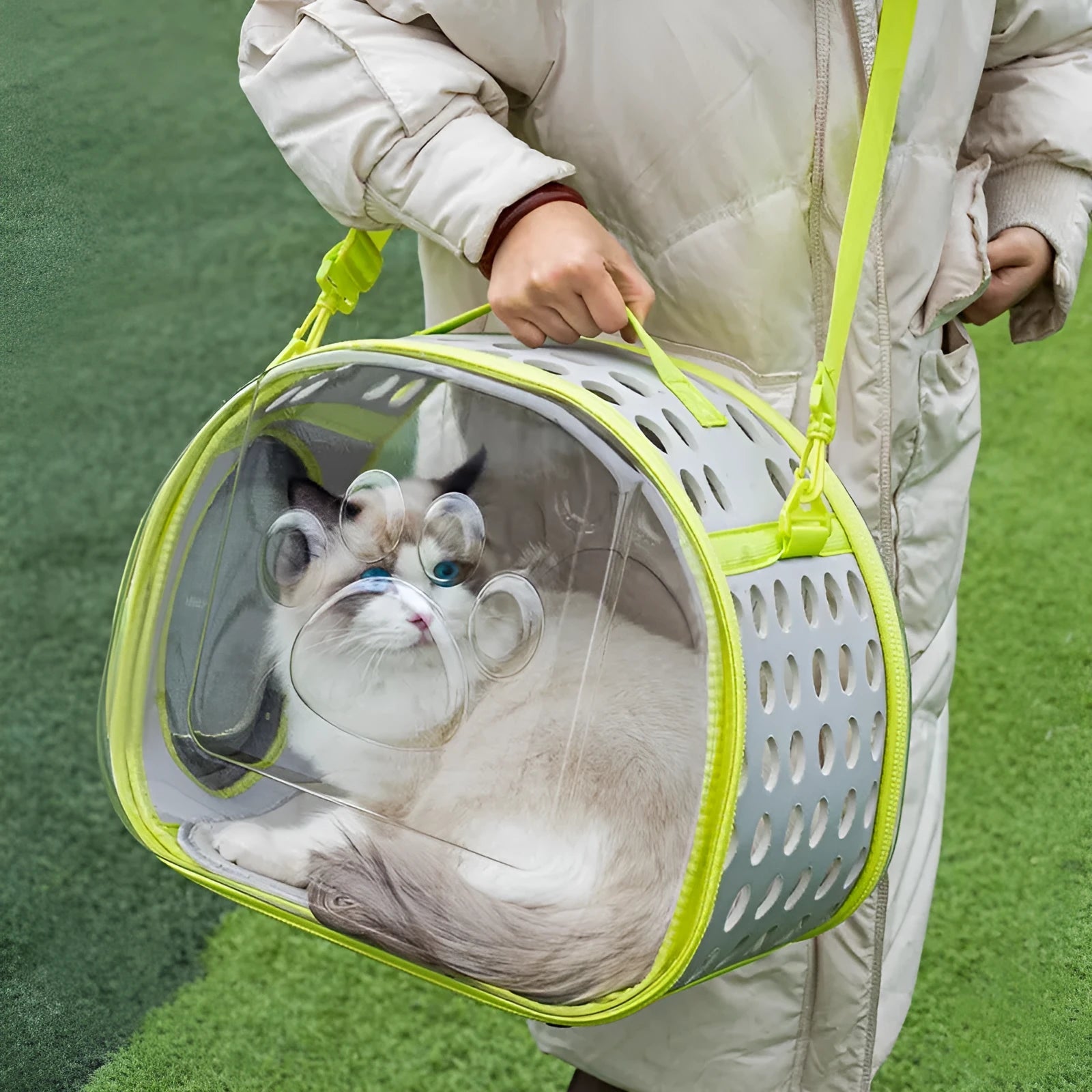 Hard EVA transparent space capsule cat backpack carrier in multiple colours.