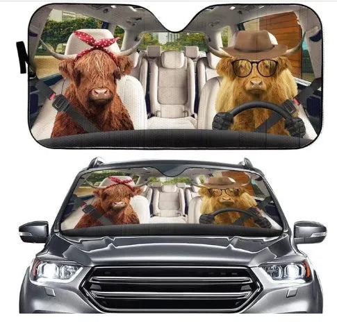 Telescopic aluminium foil car sun visor extended across a vehicle windshield