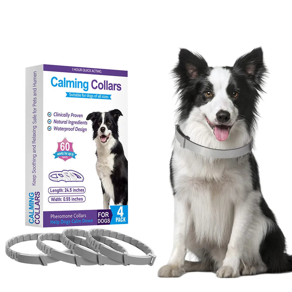 Pack of four solid colour TPR dog anxiety relief collars in Chinese style, laid flat.