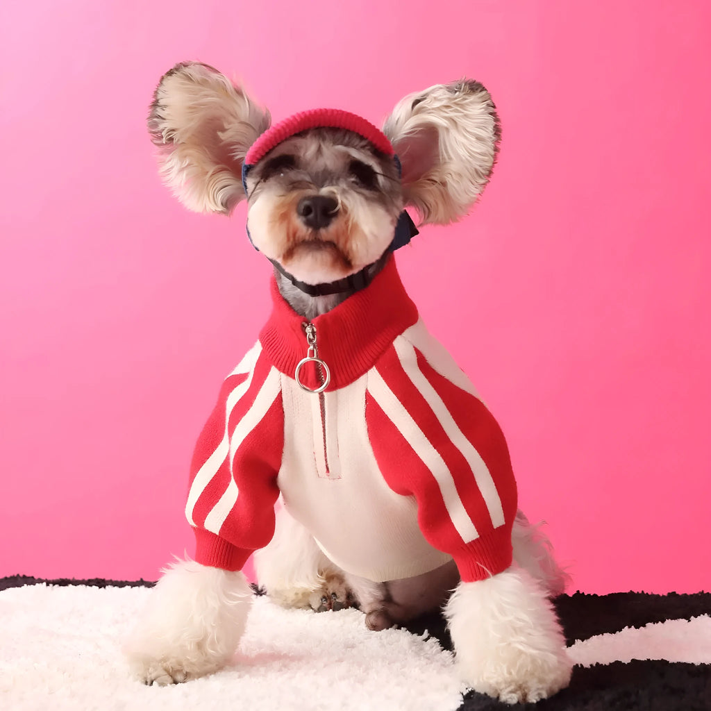 Red wool knit sports cardigan sweater worn by a dog, showing ribbed collar and front opening.