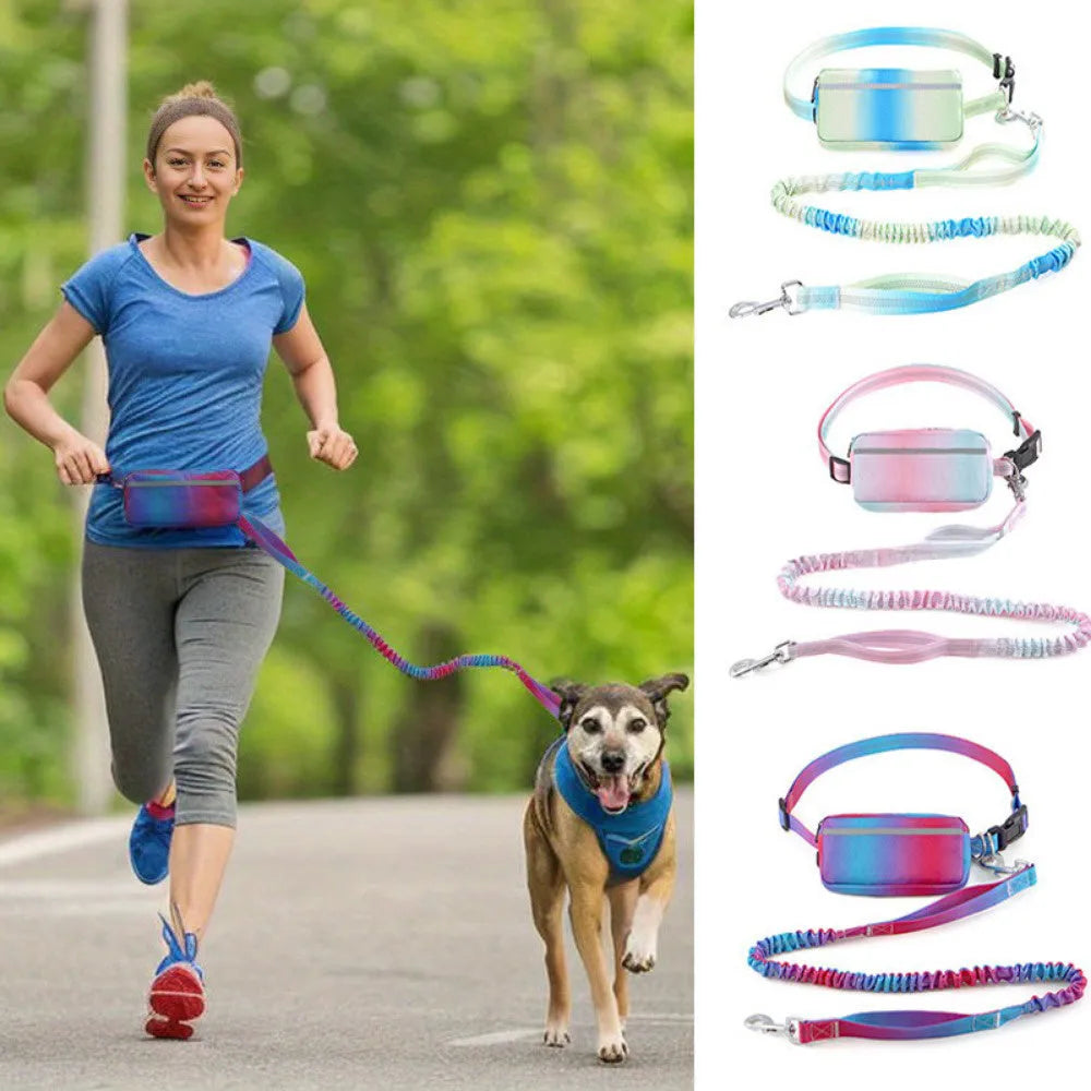 Hands-free adjustable dog leash with reflective traction rope and waist belt in blue