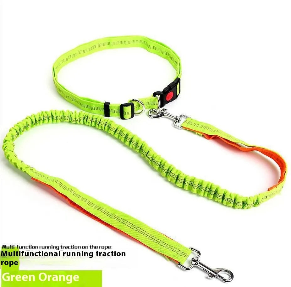 Elastic dog leash with reflective filament in two-tone colour combination, showing adjustable sling and standard clip attachment