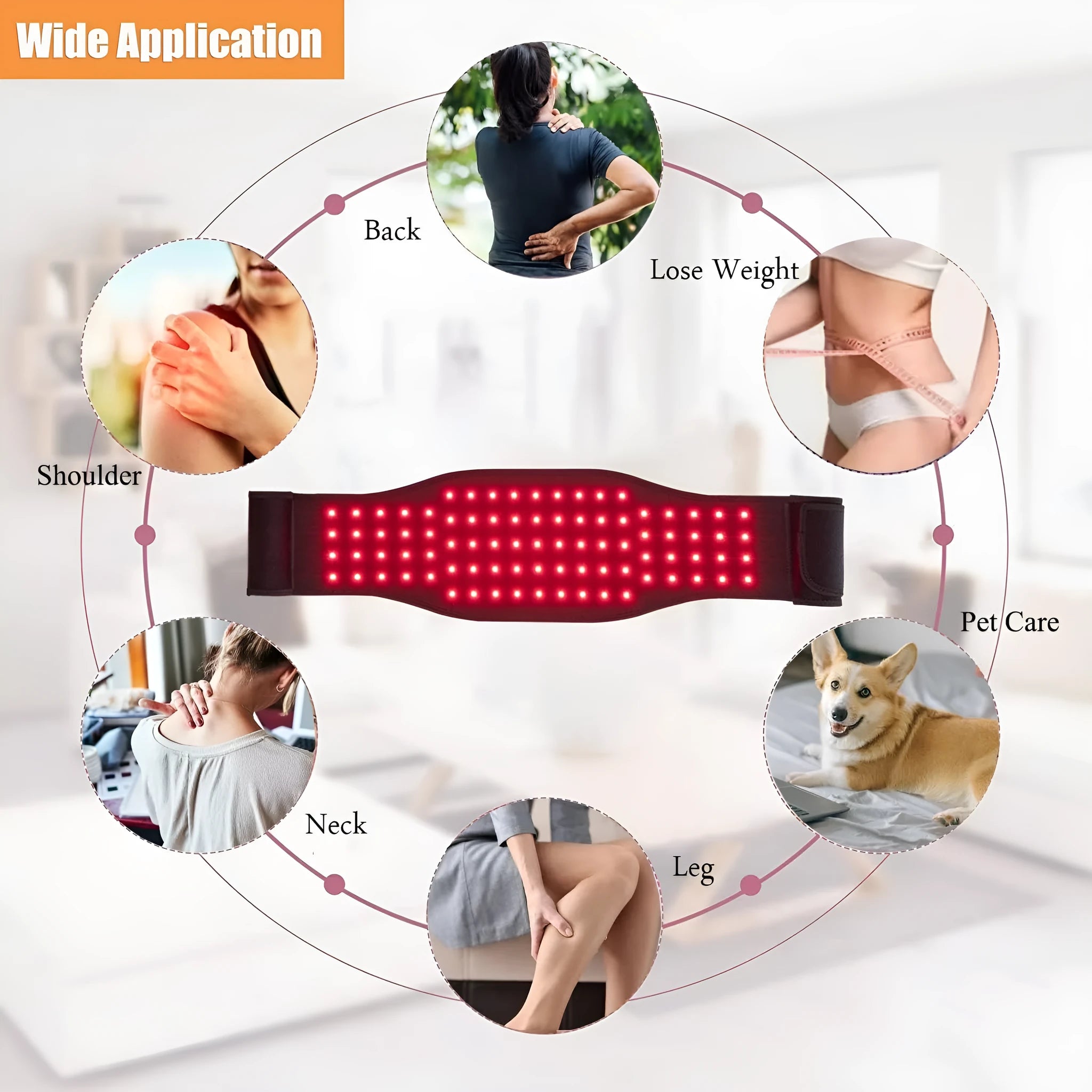 Black red light infrared physical therapy belt for waist pain relief with 12V operation