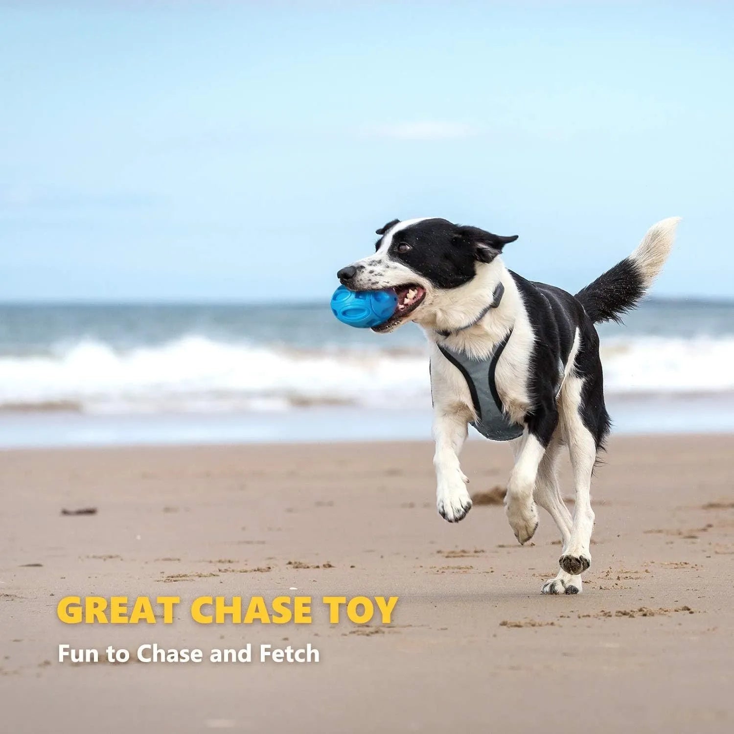 Blue green orange rubber squeaky chew ball dog toy with surface grooves for medium large breed aggressive chewers