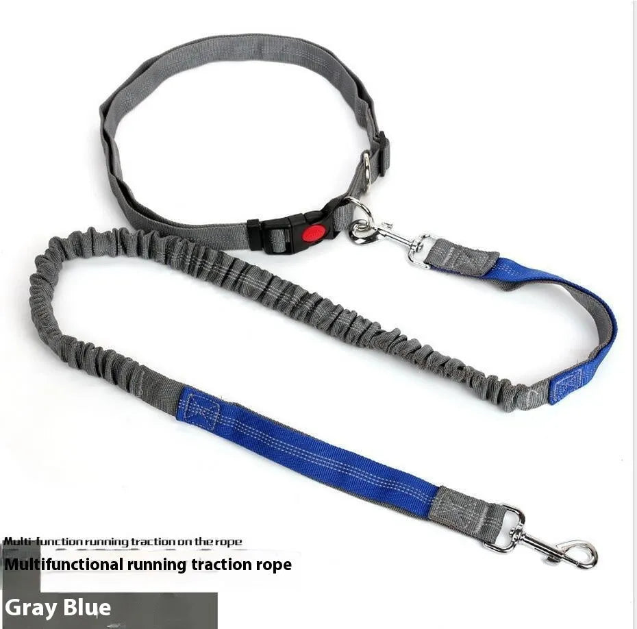 Elastic dog leash with reflective filament in two-tone colour combination, showing adjustable sling and standard clip attachment