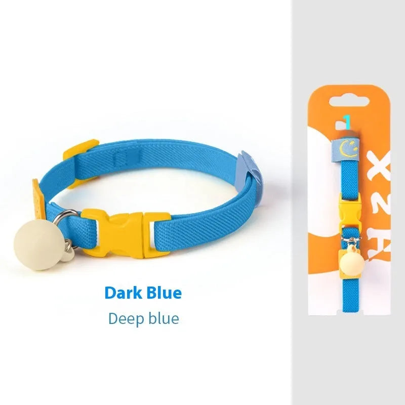 Small dog wearing a stretchy polyester pet collar in a choice of seven colours.