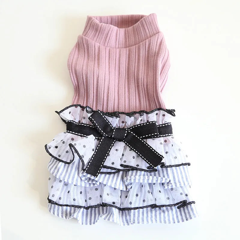 Polka dot lace cake dress pet clothes in taro purple on a small dog, princess style with lace detailing