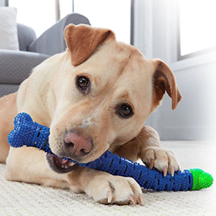 Blue green dog toothbrush chew toy with serrated cleaning head and gum massage nodules